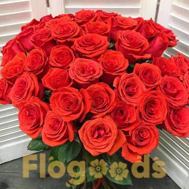 51 красная роза за 19 585 руб.